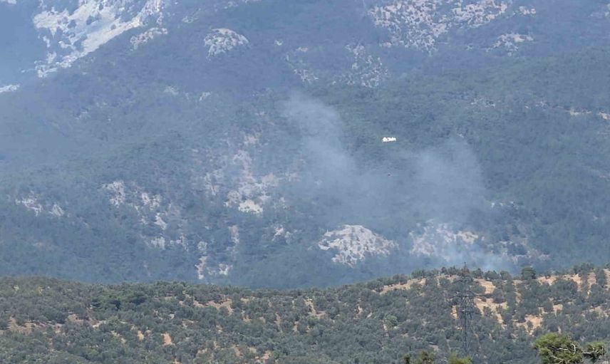 Kazdağı sınırlarına sıçrayan zeytinlik yangını havadan ve karadan müdahaleyle sürüyor