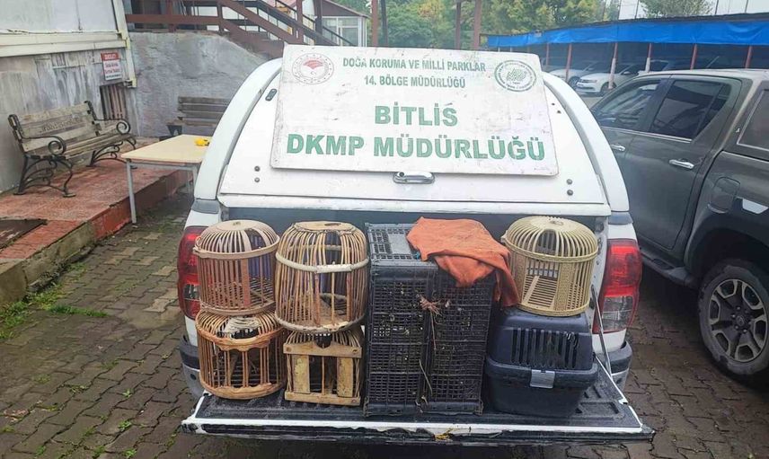 Bitlis'te göçer çadırlarda ele geçirilen keklikler doğaya salındı
