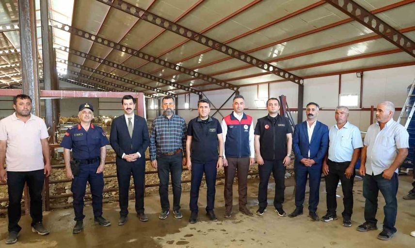 Mazgirt'te yüzde 50 hibe ile kurulan ağıl, kırsal üretime hız kattı