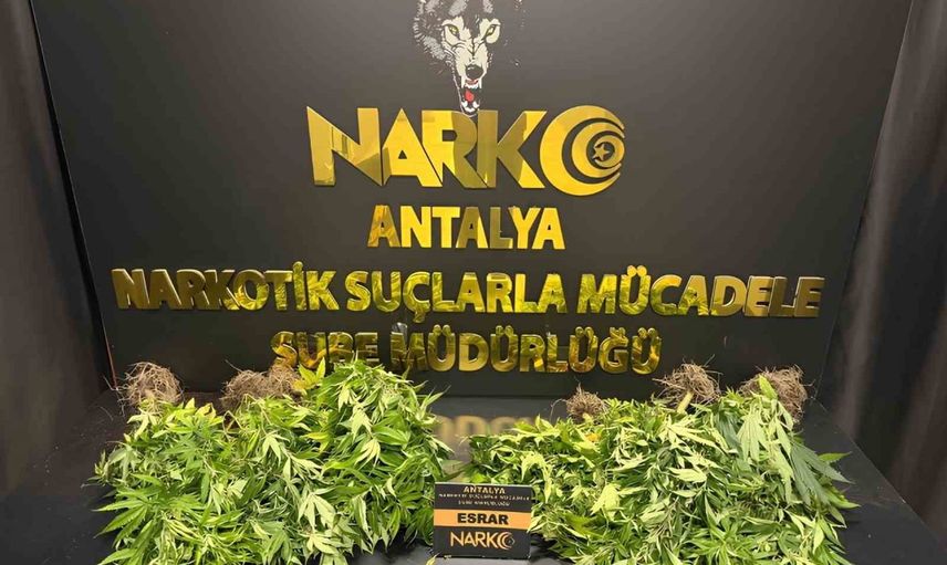 Antalya'da haftalık narkotik dalgası: 32 operasyonda geniş çaplı ele geçirmeler
