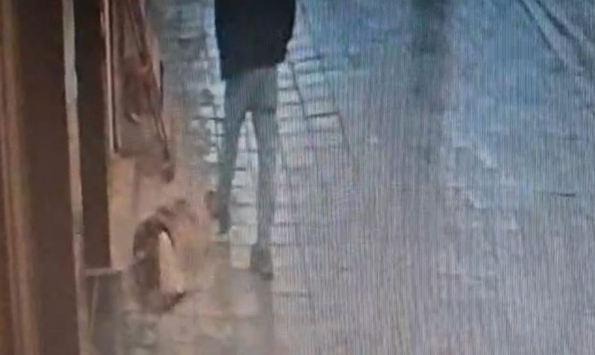 Avcılar'da sokak köpeğine tekme atan kişi ısırılarak hastaneye kaldırıldı
