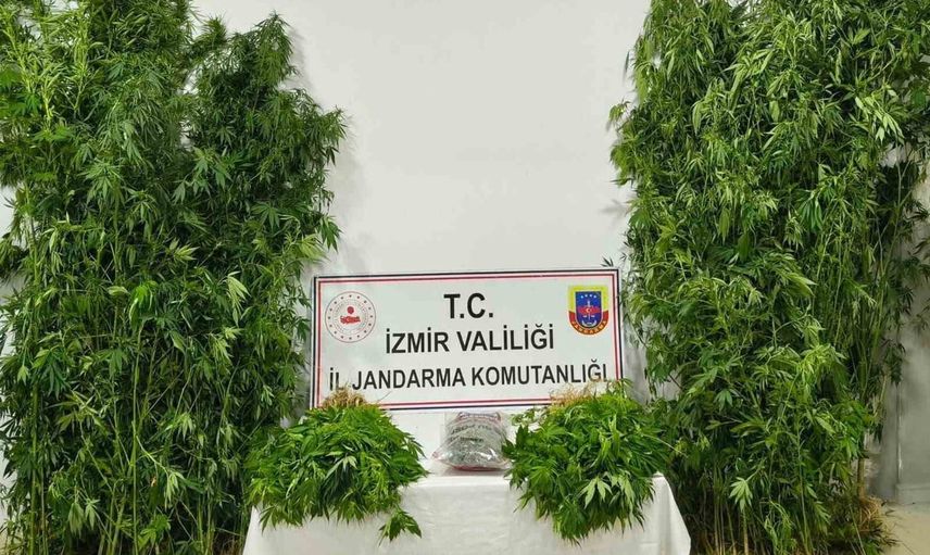 İzmir'de üç ilçede eş zamanlı operasyon: 8 bin 339 gram ve üç tutuklama
