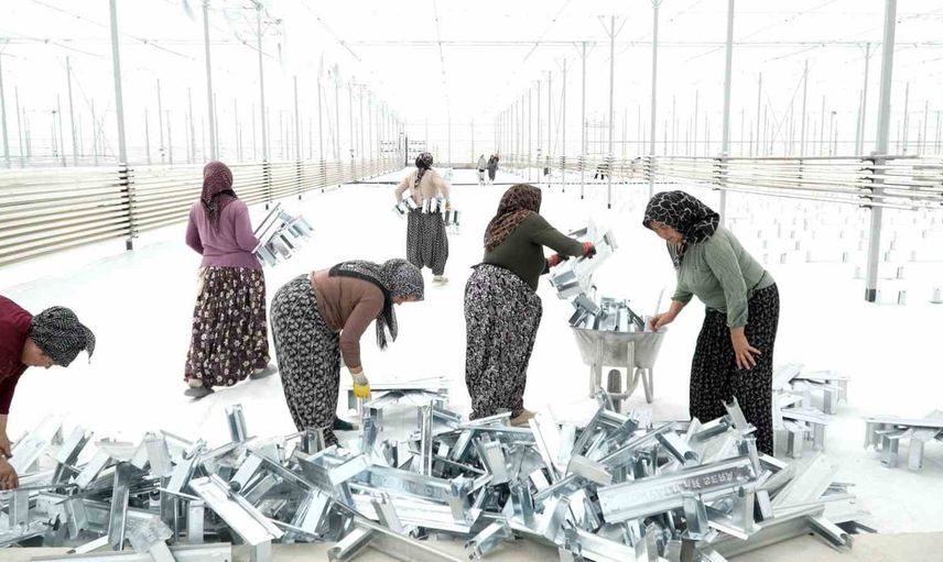 Kadınların el emeğiyle yükselen jeotermal serada üretime hazırlık