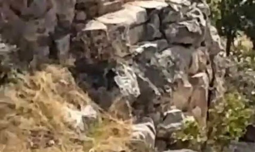 Gercüş'ün sarp kayalıklarında çizgili sırtlan görüldü