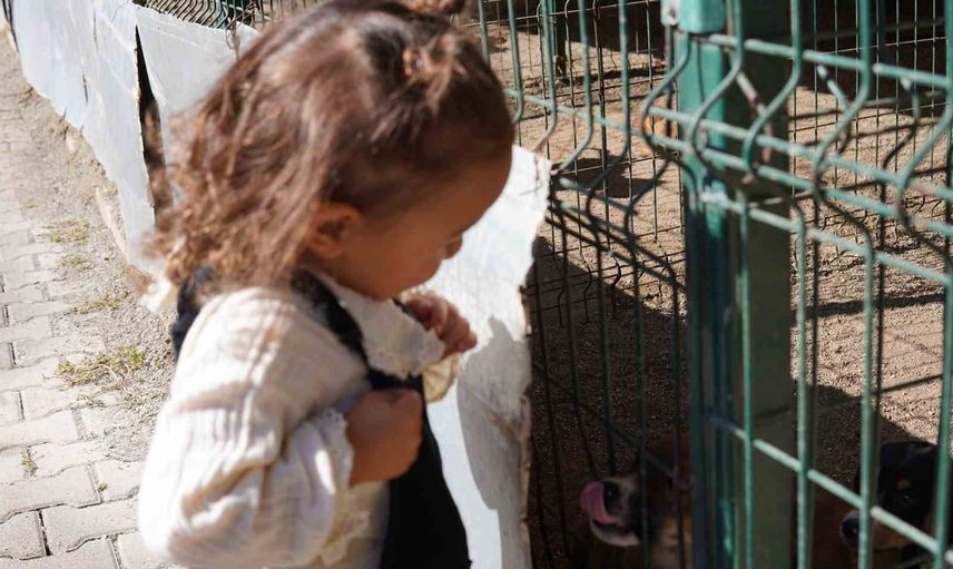 Minik öğrenciler can dostlarla duyarlılık dersi aldı