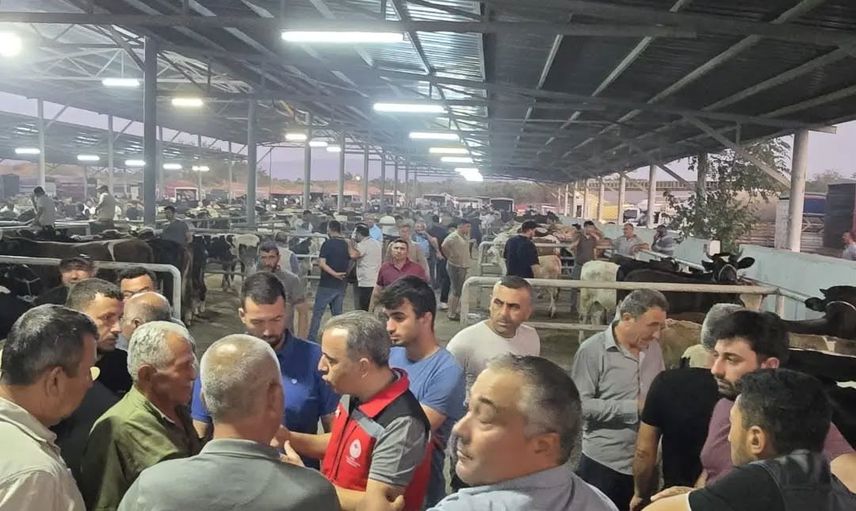 Ayrıntılı kontrollerle Aydın pazarlarında küpesiz hayvana izin verilmiyor