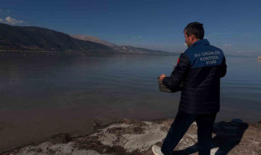 Eğirdir'de belgesiz nakledilen 50 kilogram gümüşi havuz balığı el konuldu