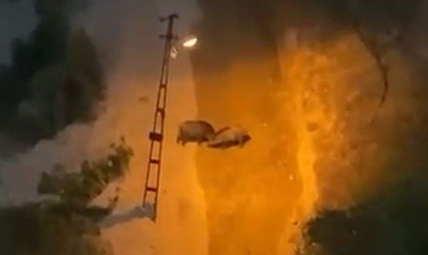 Bulak kanyonunda yaban domuzlarının kavgası cep telefonuna yansıdı
