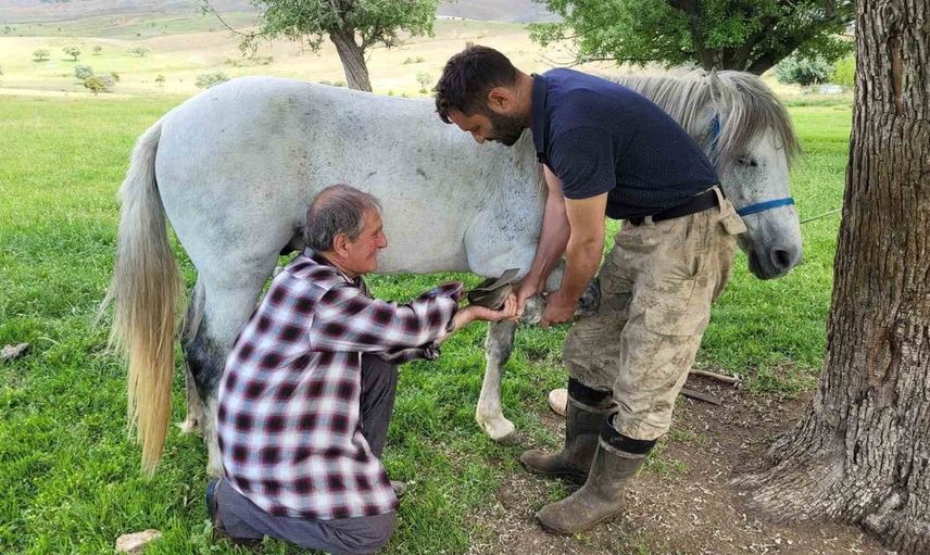 Zamana meydan okuyan nalbant: Kemaliye'nin yarım asırlık ustası