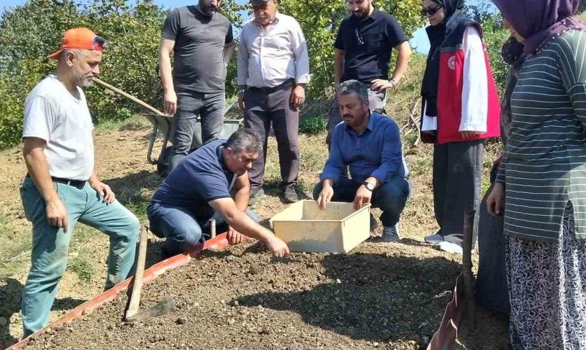 Kumluca'da üreticilerle birlikte uygulamalı salep dikimi ve bilgilendirme yapıldı
