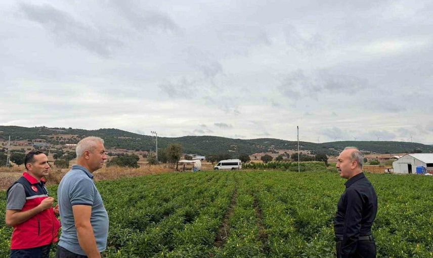 Kırsal üretimde yeni bir renk: Turplu'da turşuluk biberiye hasadı
