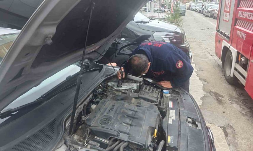 Motor kapağındaki misafir: yavru kedi itfaiyenin çalışmasıyla kurtarıldı