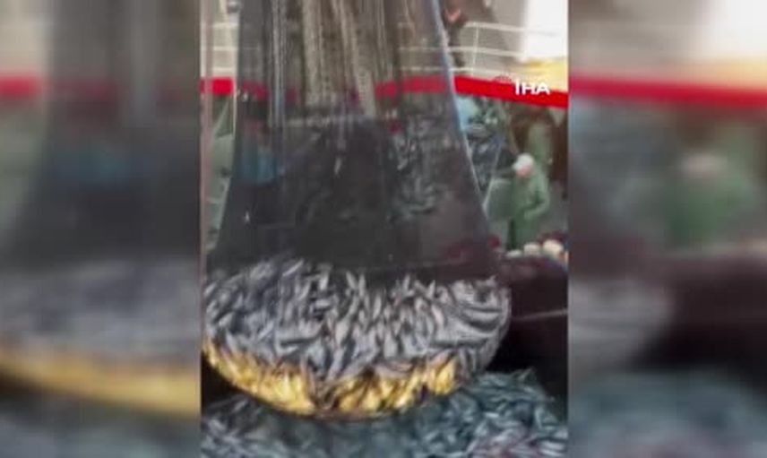 Palamut bereketi Tekirdağ tezgahlarını canlandırdı
