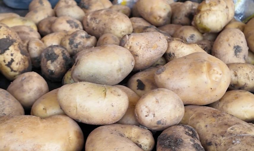 Sandıklı'da zabıta hileli patates satışını ortaya çıkardı