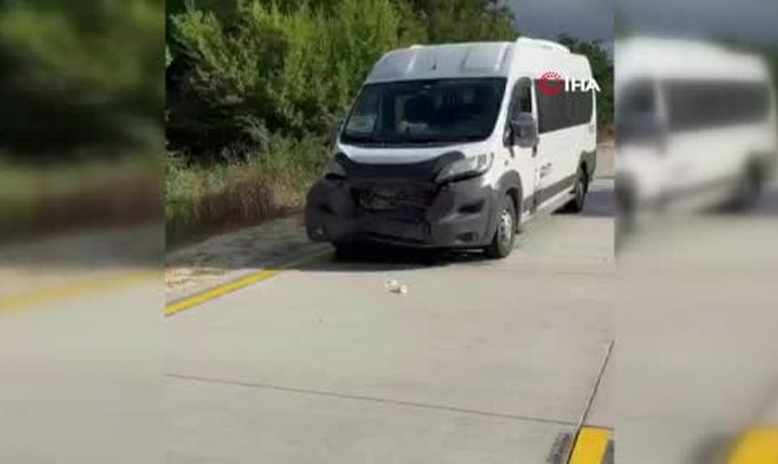 Silivri'de Danamandıra yolunda panelvanın çarptığı yaban domuzu telef oldu