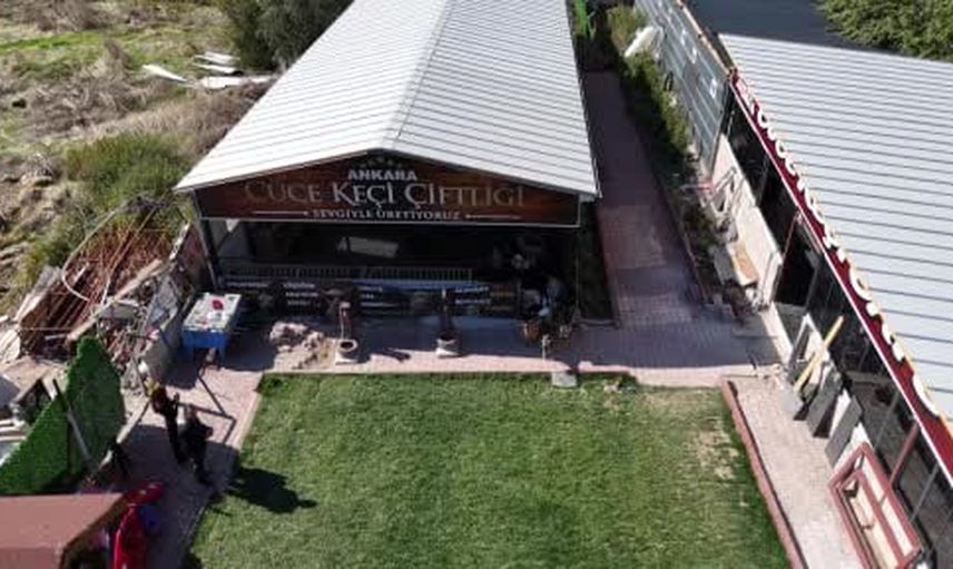 Hobiyle başlayan çiftlikte cüce keçi talebi artıyor