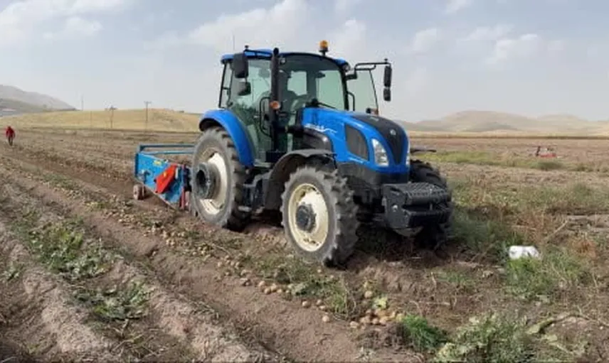 Patnos'tan fabrikalara: 450 dönümlük araziden 1.500 ton patates sanayiye