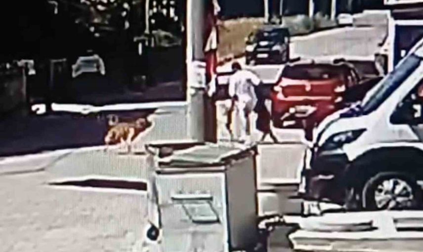 Sokakta kaydedildi: Kapaklı'da köpeğini korurken yaralandı