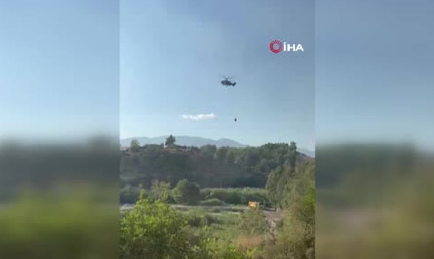 Kaş'ta alevlerin arasından kurtarılan koyunlar ve kaplumbağanın hikayesi