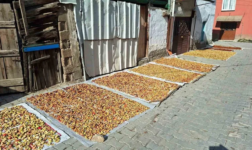 Hisarcık’ta elma kurusu ellerde kalıyor üreticiler fiyat artışını bekliyor