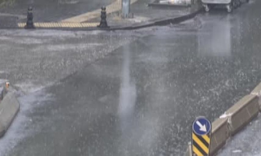 Sağanak yağışta devrilen ağaç Ziya Gökalp Caddesi'nde trafiği aksattı