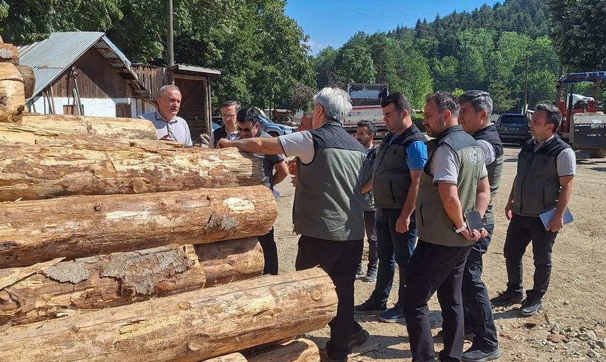 Ormanların geleceği yerinde değerlendirildi: Kanbur saha denetiminde