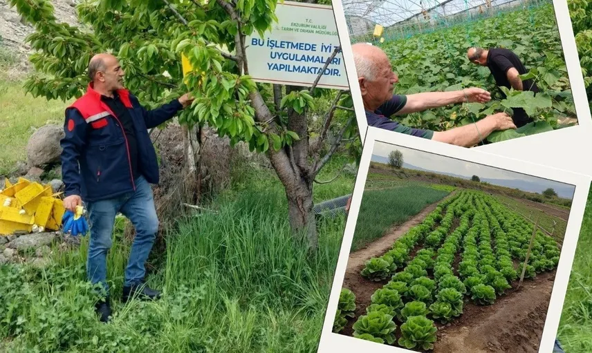 Erzurum'da tarıma yeni nefes: yayla balı ve seralarda kalite vurgusu