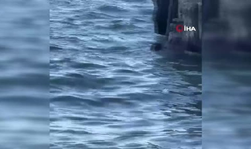 Denizde çırpınan vatandaşı deniz polisi son anda kurtardı