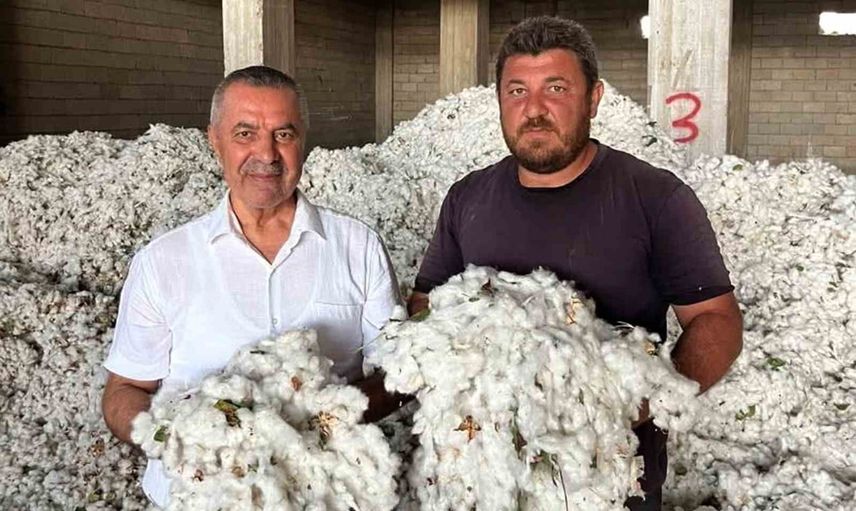 Araban'da pamuk hasadı sezonu açıldı