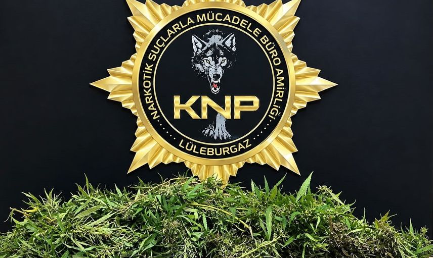 Kırklareli'nde kurutulmaya bırakılan esrar operasyonu: şüpheli tutuklandı