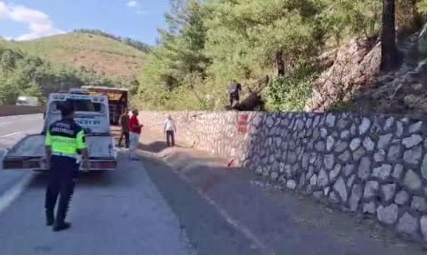 Tarsus'ta yola düşen büyükbaş jandarma müdahalesiyle sakinleştirilip götürüldü