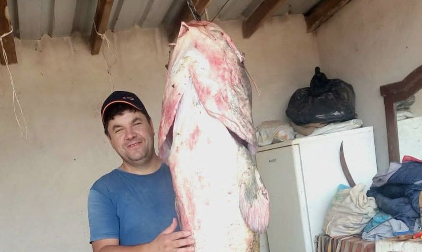 Meriç'in ağlarına takılan 2 metre 45 santimetrelik yayın balığı bölgeyi heyecanlandırdı