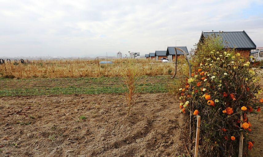 Kayseri'de şehir merkezinde ata tohumuyla büyüyen kadın kooperatifi