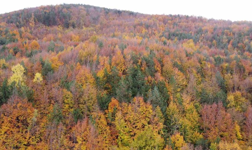 Yolda sonbahar paleti: Bolu-Mudurnu arasında kartpostal manzaralar