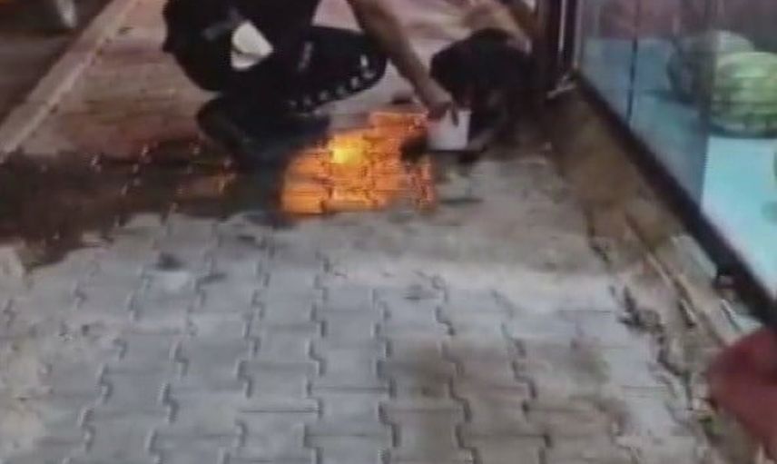 Samandağ'da faresi vurmak isterken köpeği vurduğunu söyleyen şüpheli yakalandı