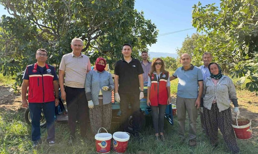 Kaymakam Haydaroğlu hasatın nabzını Feslek'te tuttu
