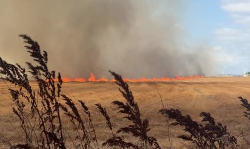 Silivri'de rüzgarla yayılan tarla yangını için helikopter destekli müdahale