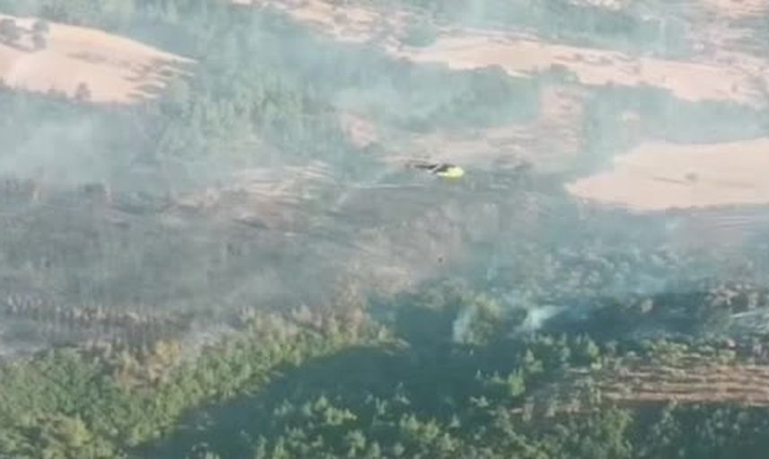 Çanakkale'de Bayramiç orman yangını müdahalelerle büyük ölçüde kontrol altına alındı