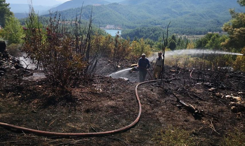 Bucak'ta Çamlık köyü yakınlarındaki orman yangını hızlı müdahale ile söndürüldü