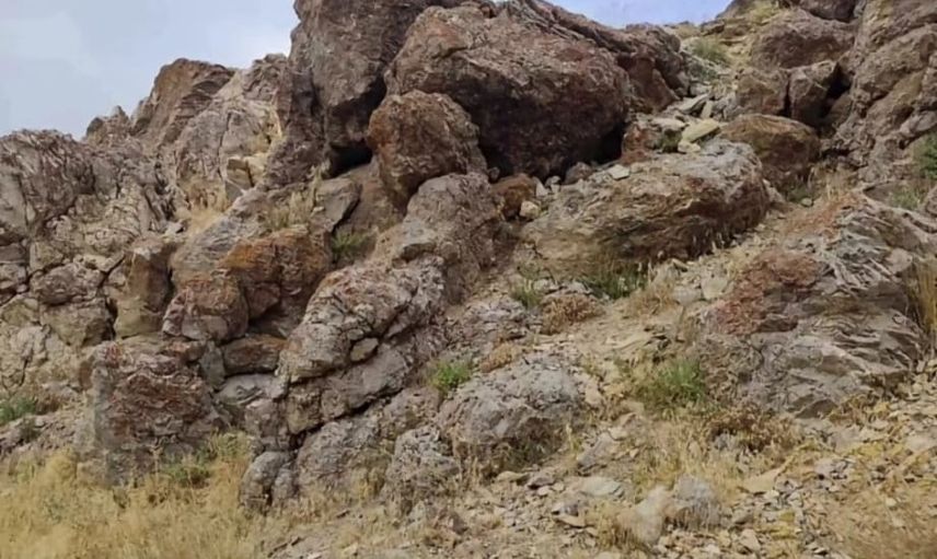 Özalp'te kırsalda yıldırım isabet etti: 14 yaşındaki çocuk hayatını kaybetti