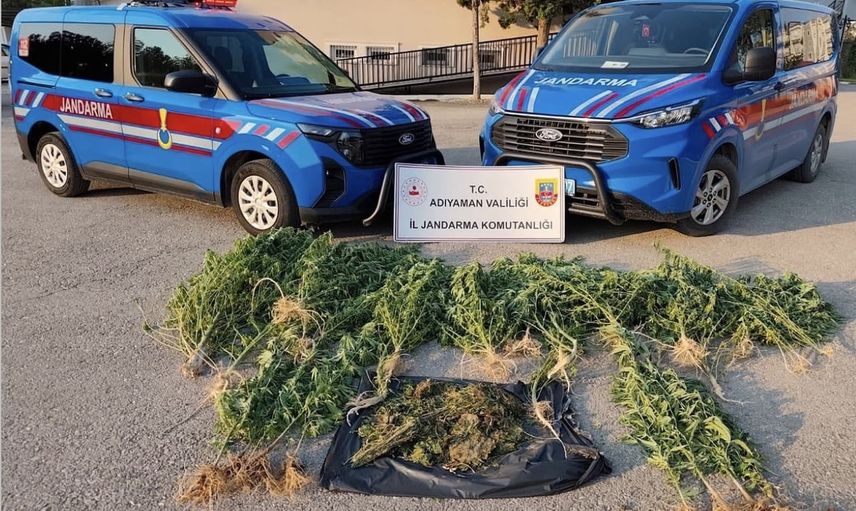 Kahta'da kırsalda uyuşturucu üretimine müdahale: 1,5 kilogram ve 42 kök kenevir