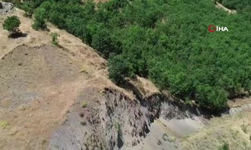 Bölgedeki nadir tür: Bingöl'de dronla görüntülenen dağ keçisi