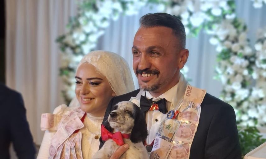 Düğünde takı yerine av köpeği verildi