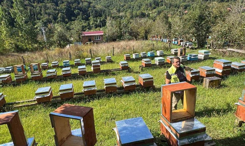 Kırsalda arıcılığı büyütüyor: Sinoplu genç kadına 774 bin lira hibe