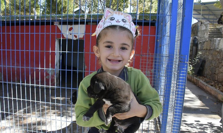 Çocuklar Kuşadası'nda hayvan dostlarıyla empati kurdu