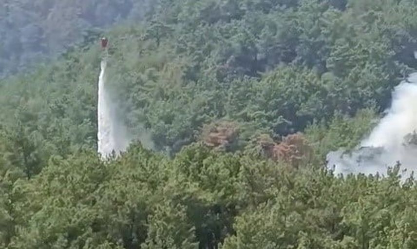 Soğutma çalışmaları süren Kozan ormanında dumanlar yeniden yükseldi