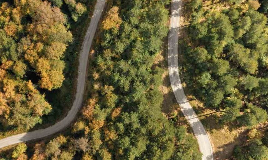 Yenice'nin blok ormanlarında sonbahar paleti