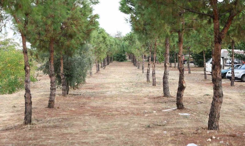 Merkezefendi'de Lavanta Bahçesi bitişiğinde doğayla iç içe yürüyüş parkı