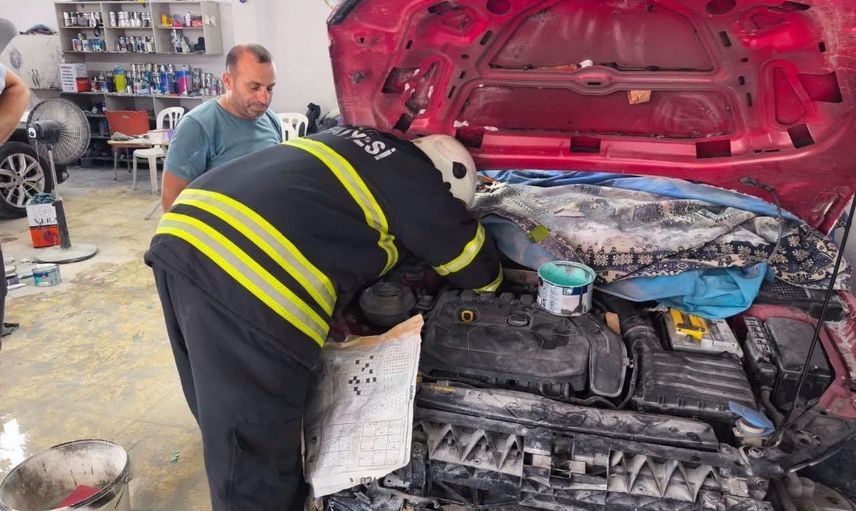 İskenderun'da vatandaş ihbarıyla kurtarılan yavru kedilerin sağlık durumu iyi