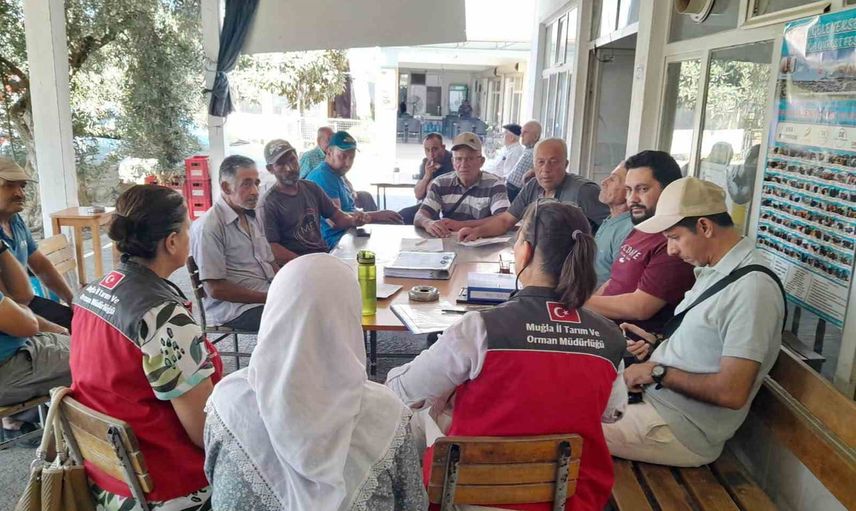 Muğla'da organik susam projesinde saha kontrolleri resmen başladı